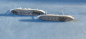Preview: 2 Hai Ship Models 1:1250 German Navy Training Ship Hugin & Beowolf - Imperial Navy !