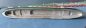 Preview: Albatros Modell AL 184 Dampfer Passagierschiff Duchess of Bedford 1:1250 Canadian Pacific Line