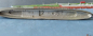 Preview: Neptun Ship Model - 1:1250 , Royal Navy - Repair Ship Tyne