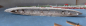 Preview: Argonaut 1:1250 Model - Cruiser London of the Royal Navy !