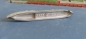 Preview: Neptun Modell 1091 - U Boot Tender Saar 1 : 1250 Kriegsmarine  !