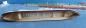 Preview: Mercator Modell  592 Dampfer Passagierschiff Iberia Reederei HAPAG 1:1250