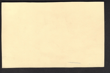 Postcard of the Liner Steamer Blücher / Hamburg-Amerika Line !